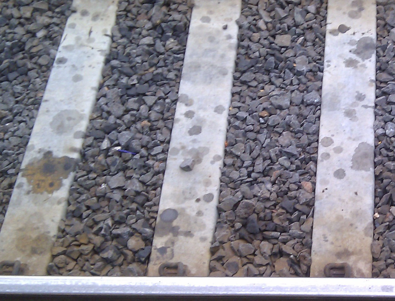 Concrete sleepers after 3 months!